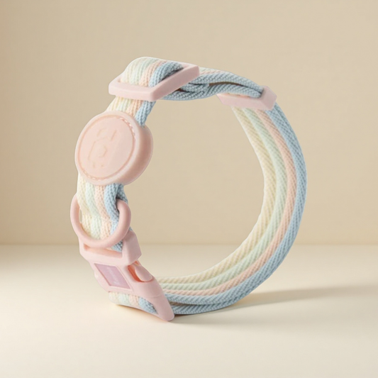 Petopia Everyday Nylon Collar – Adjustable &amp; Lightweight for Small Dogs